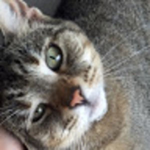 Meet your Posher, Sophia